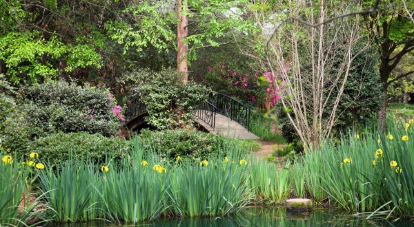 This Beautiful 7-Acre Botanical Garden In Mississippi Is A Sight To Be Seen