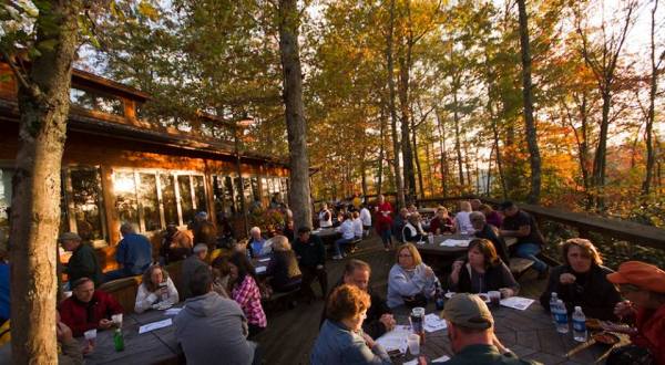 Dine In The Tree Canopy At This West Virginia Steakhouse