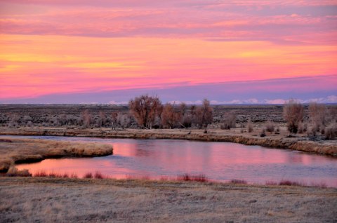 Visit The Magnificent Wildlife Refuge In Wyoming That's Home To More Than 220 Types Of Bird