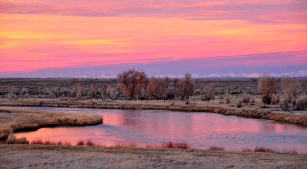 Visit The Magnificent Wildlife Refuge In Wyoming That’s Home To More Than 220 Types Of Bird