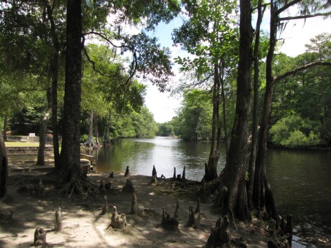 You'll Want To Spend More Time In This Underrated North Carolina State Park