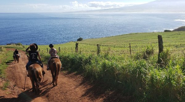 Experience Hawaii’s Breathtaking Rolling Hills At This Off-The-Beaten-Path Ranch