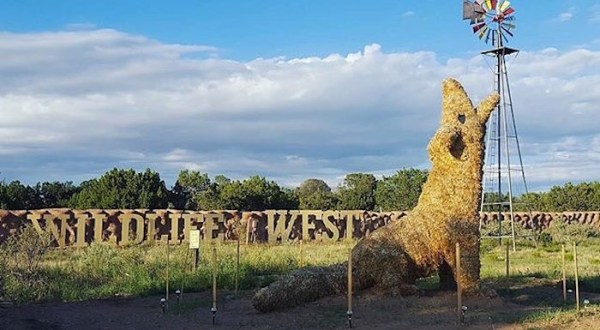This Walk-Through Safari Park In New Mexico Is The Best Way To See Wildlife Up Close