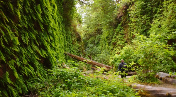 The Deep Green Gorge In Northern California That Feels Like Something Straight Out Of A Fairy Tale