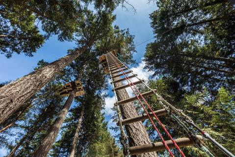 This State Park Has Its Own Adventure Course And You’ll Want To Explore It All Summer Long