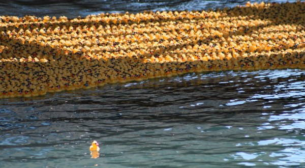 The Whole Family Will Have A Blast At This Ducky Derby In New Jersey