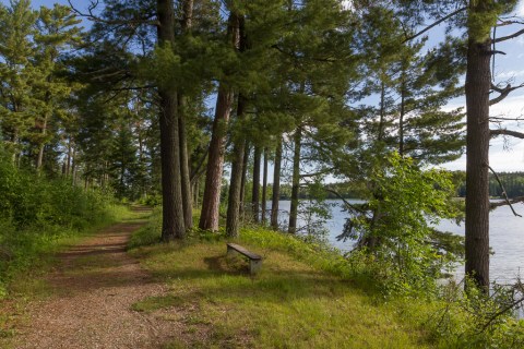 This Riverfront Trail In Minnesota Leads Through An Untouched Northern Forest