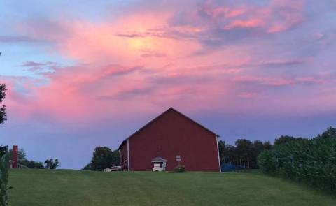 There's An Adventure Park Hiding On An Ohio Farm And It's Insanely Fun