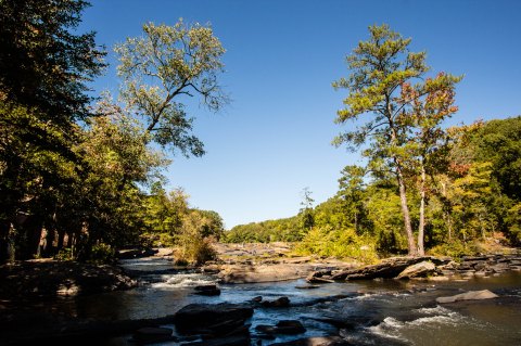 This Clear Water Creek In Georgia Is Chock Full Of Summer Fun