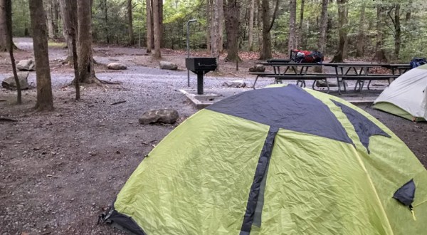 You Can Rent This Entire Campground In North Carolina For Just $50 Per Night