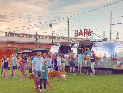 The Only Dog Park & Bar In Georgia Is One Of The Coolest Adventures You Can Have