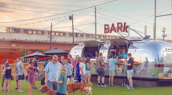 The Only Dog Park & Bar In Georgia Is One Of The Coolest Adventures You Can Have