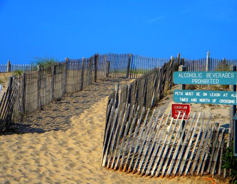 One Of The Most Remote Beaches In Delaware Is Also The Most Magnificent