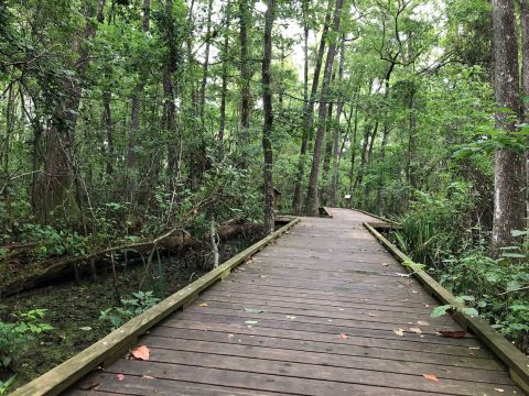 7 Short And Sweet Summer Hikes In Louisiana With Amazing Views