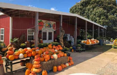 This Indoor Farmers Market In Mississippi Is The Best Place To Spend Your Weekend