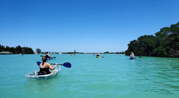 Explore This Florida Bay Like Never Before In A Glass-Bottom Kayak