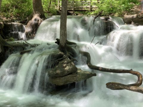 The Hike To This Pretty Little Missouri Waterfall Is Short And Sweet