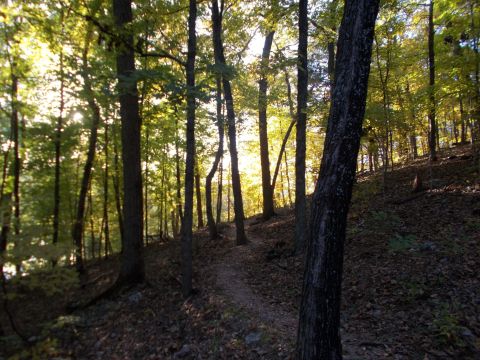 This 1.9-Mile Hike In Missouri Takes You Through An Enchanting Forest