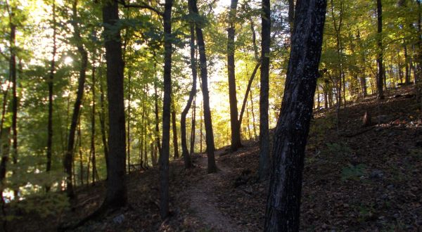 This 1.9-Mile Hike In Missouri Takes You Through An Enchanting Forest