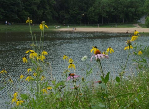The Cleanest Lake In Missouri Is Ideal For Your Next Summer Dip