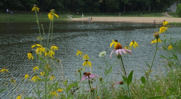 The Cleanest Lake In Missouri Is Ideal For Your Next Summer Dip