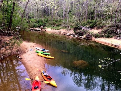 This Guided Paddling Tour Through Kentucky Is The No Stress Way To Experience The Outdoors