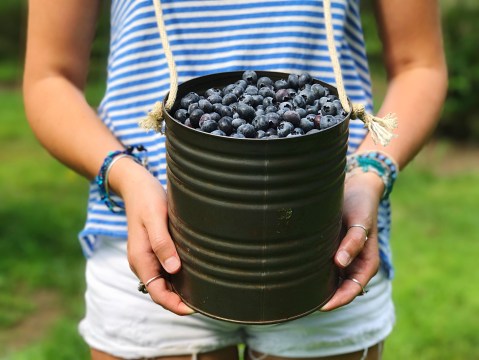 This Blueberry Festival In South Carolina Is The Perfect Place To Pick Your Own Berries This Summer