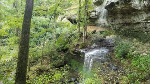 Your Kids Will Love This Easy 1.5-Mile Waterfall Hike Right Here In Illinois