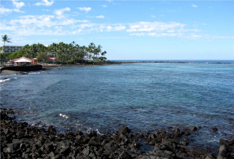 Swim With More Than 100 Species Of Fish In This Hawaiian Bay