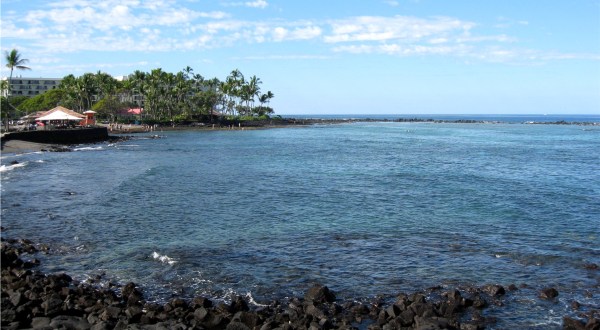 Swim With More Than 100 Species Of Fish In This Hawaiian Bay
