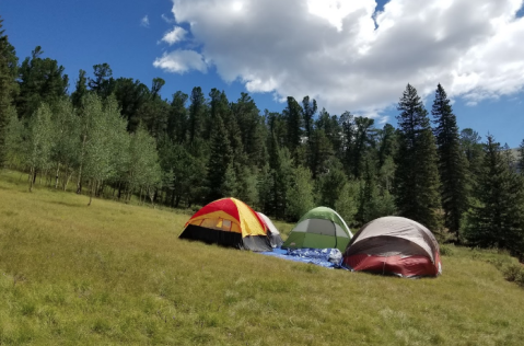 5 Amazing Campgrounds In Colorado Where You Can Spend The Night 25 Bucks And Under