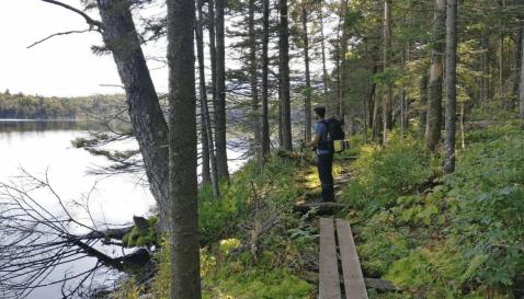 A Hike To This Secluded Sparkling Pond In Vermont Is Just What You Need This Summer