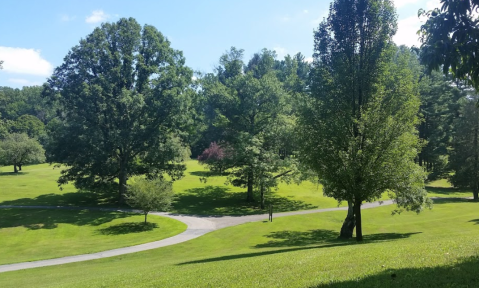 The Little Known Trail In Delaware That Brings You To An Amazing Picnic Spot
