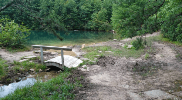The Delightful Trail In Virginia That Will Lead You Straight To An Emerald Pond