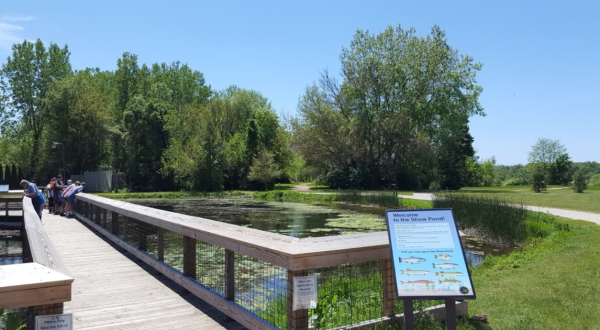 The Fantastic Fish Hatchery In Michigan That Offers Unexpected Fun For The Whole Family