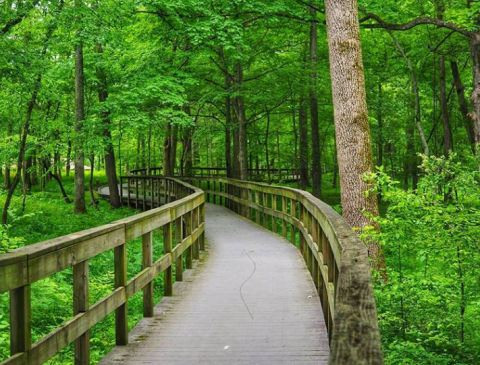 The Easy Hiking Trail In Kentucky That Makes The State's Natural Beauty Accessible To Everyone