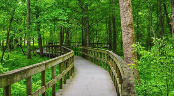 The Easy Hiking Trail In Kentucky That Makes The State’s Natural Beauty Accessible To Everyone