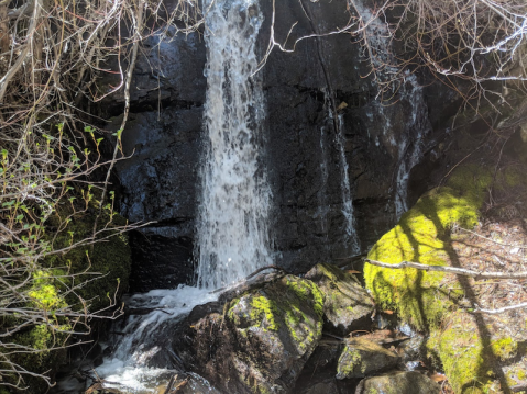 Take This Easy Trail To An Amazing Little Waterfall In Nevada