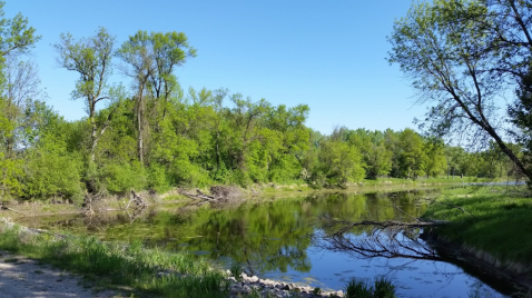 This Remote State Park In Minnesota Is A Haven For Wildlife