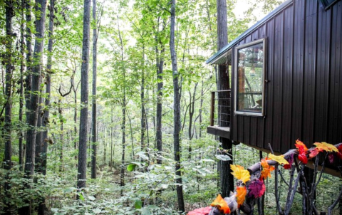 Get Away From It All At This Lush Treehouse Right Outside of Nashville