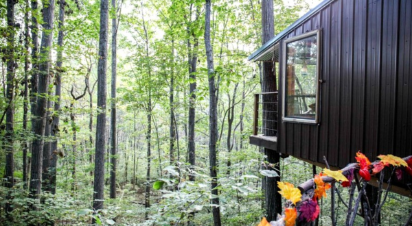 Get Away From It All At This Lush Treehouse Right Outside of Nashville