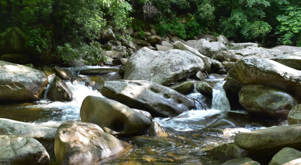 This Clear Water Creek In Tennessee Is Chock Full Of Summer Fun