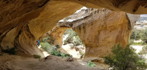 This Short, Easy Hike In Utah Will Lead You Straight To A Magnificent Arch