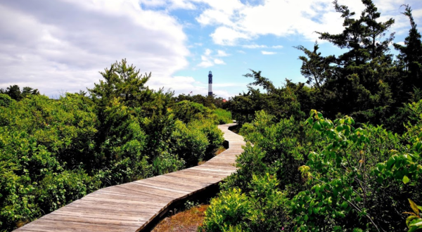The Lighthouse Walk In New York That Offers Unforgettable Views