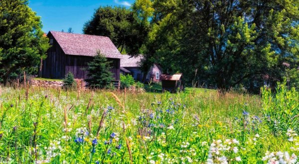 The Underappreciated Museum That Shows You A Side Of Minnesota You’ve Never Seen Before