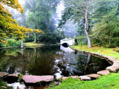 This Beautiful 280-Acre Botanical Garden In Connecticut Is A Sight To Be Seen