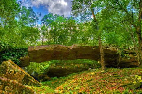 The Underrated Natural Wonder Every Arkansan Should See At Least Once