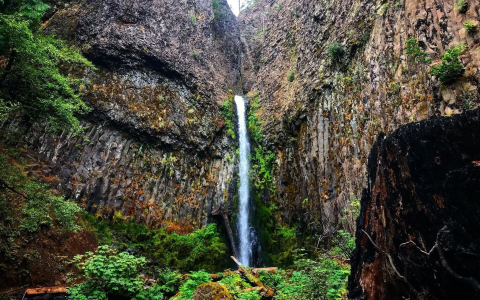 If You Haven't Hiked This Waterfall Trail Since It Reopened, It Should Be On Your Bucket List
