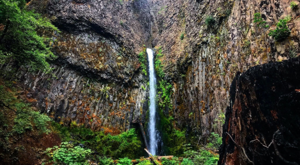 If You Haven’t Hiked This Waterfall Trail Since It Reopened, It Should Be On Your Bucket List