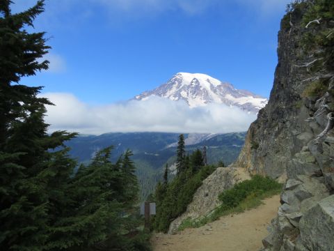 9 Short And Sweet Washington Summer Hikes With Amazing Views